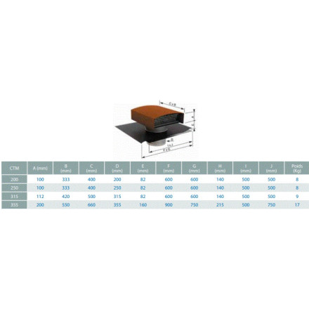 2-in-1 cap and roof penetration for a ventilation system roof outlet