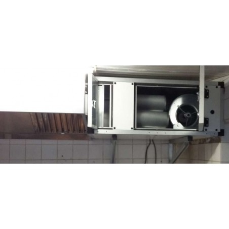 Caja con 6 escobillas de carbón antiolor y motor integrado