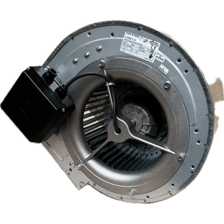DDM 9/9 6P CTA Motor