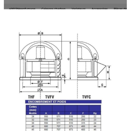 Extractor de tejado T36- 230v 2750 m3/h extracción de humos estándar